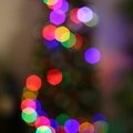 Bokeh 010