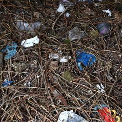 Debris Garbage