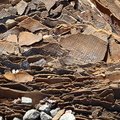 Debris Plywood 001