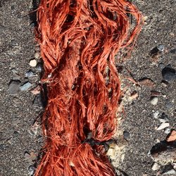 Debris Ropes