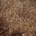 Debris Sawdust 001