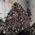 Debris Seaside 019