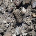 Debris Seaside 004