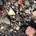 Debris Seaside 006