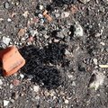 Debris Seaside 007