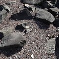 Debris Seaside 009