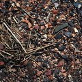 Debris Seaside 010