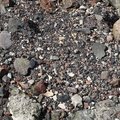 Debris Seaside 011