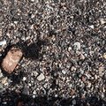 Debris Seaside 013