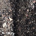 Debris Seaside 014
