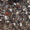 Debris Seaside 015