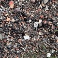 Debris Seaside 018