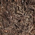 Debris Wood Chips 004