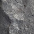 Rock Stone 014