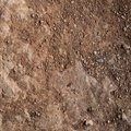 Soil Stoned 001