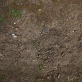 Soil Stoned 003