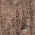 Soil Stoned 006