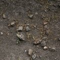 Soil Stoned 008