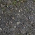 Soil Stoned 012