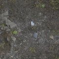 Soil Stoned 014