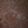 Soil Stoned 016