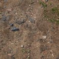 Soil Stoned 019