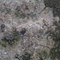 Soil Cracked 005