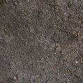 Soil Cracked 006
