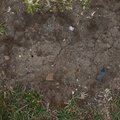 Soil Cracked 007