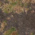 Soil Cracked 010