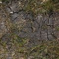 Soil Cracked 013