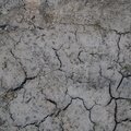 Soil Cracked 003