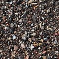 Sea Pebble 005