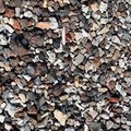 Sea Pebble 009
