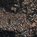 Sea Pebble 010
