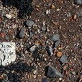 Sea Pebble 011