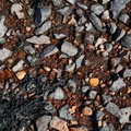 Sea Pebble 013