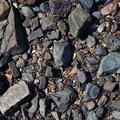 Sea Pebble 017