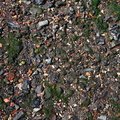 Sea Pebble 019