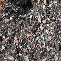 Sea Pebble 022