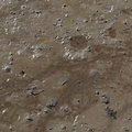 Sea Mud 010