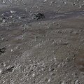 Sea Mud 011