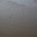 Sea Mud 002