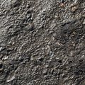 Sea Mud 005