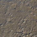 Sea Mud 006