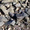 Sea Pebble 028