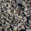 Sea Pebble 024