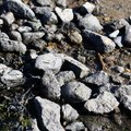 Sea Pebble 026