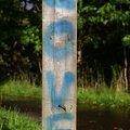 Graffiti 006
