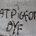 Graffiti 012